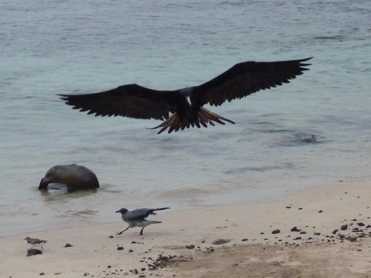 Hostal Nathaly Puerto Baquerizo Moreno Dış mekan fotoğraf