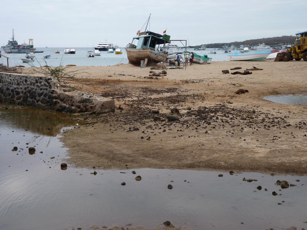 Hostal Nathaly Puerto Baquerizo Moreno Dış mekan fotoğraf